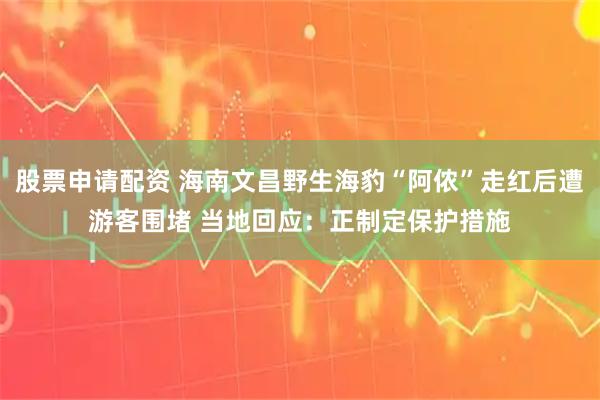 股票申请配资 海南文昌野生海豹“阿侬”走红后遭游客围堵 当地回应：正制定保护措施