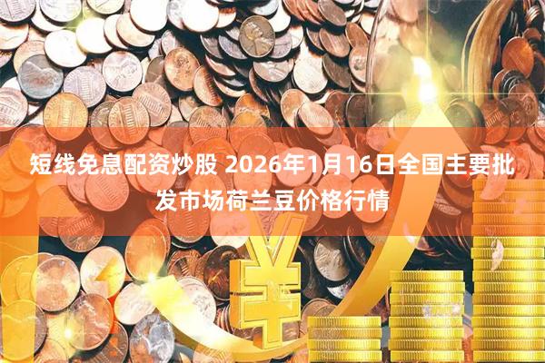 短线免息配资炒股 2026年1月16日全国主要批发市场荷兰豆价格行情