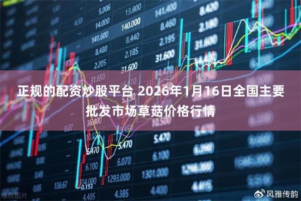正规的配资炒股平台 2026年1月16日全国主要批发市场草菇价格行情